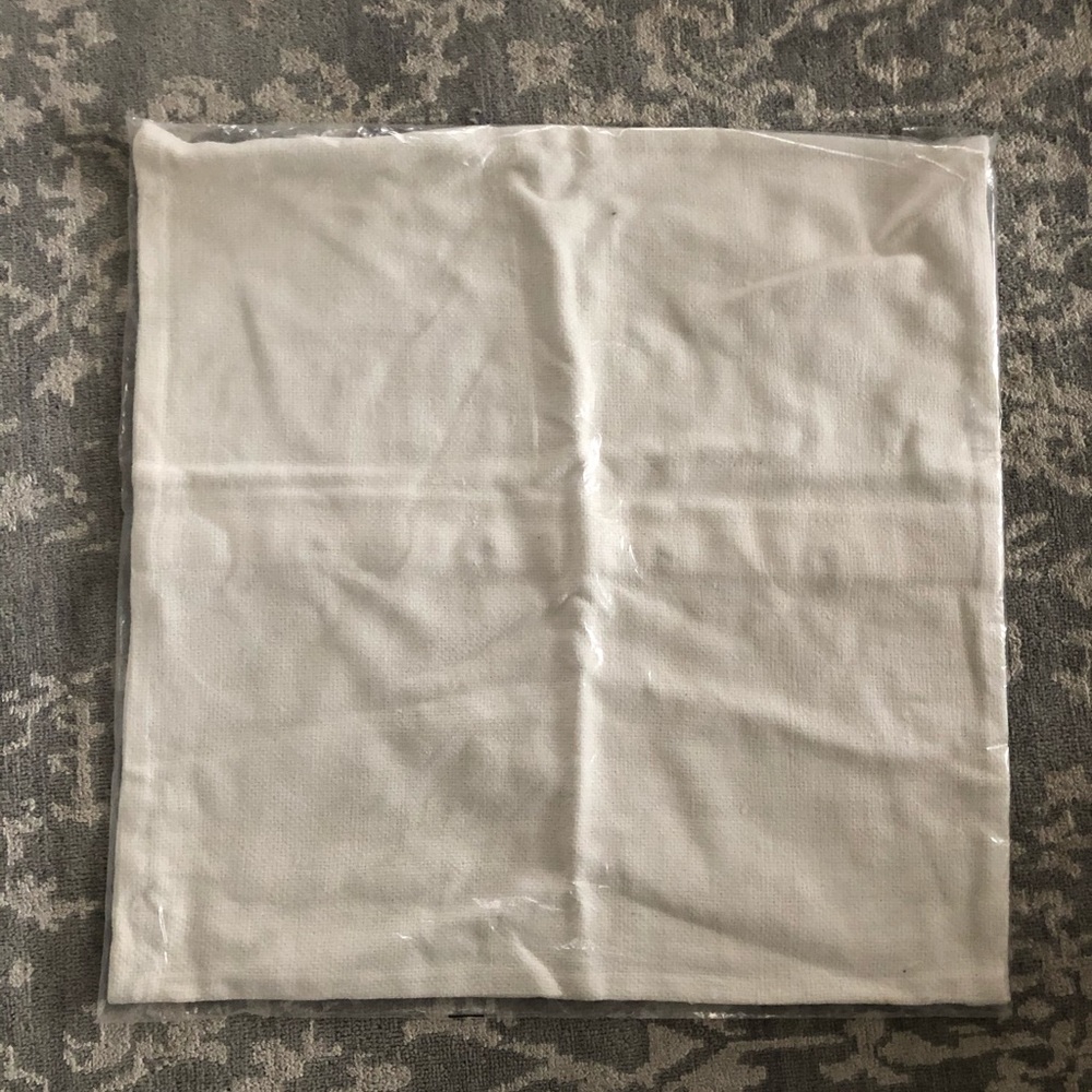 2 West Elm Silk Hand loomed Pillow Covers
